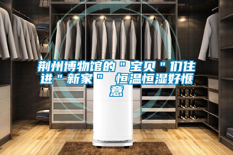 荊州博物館的"寶貝"們住進"新家" 恒溫恒濕好愜意