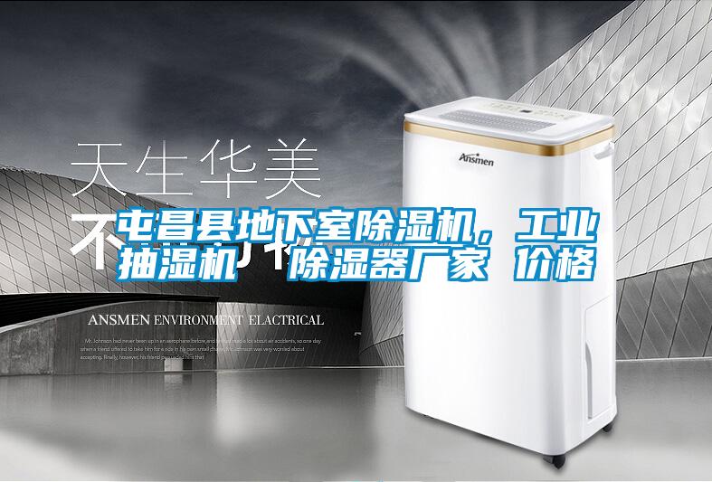 屯昌縣地下室除濕機,工業抽濕機  除濕器廠家 價格