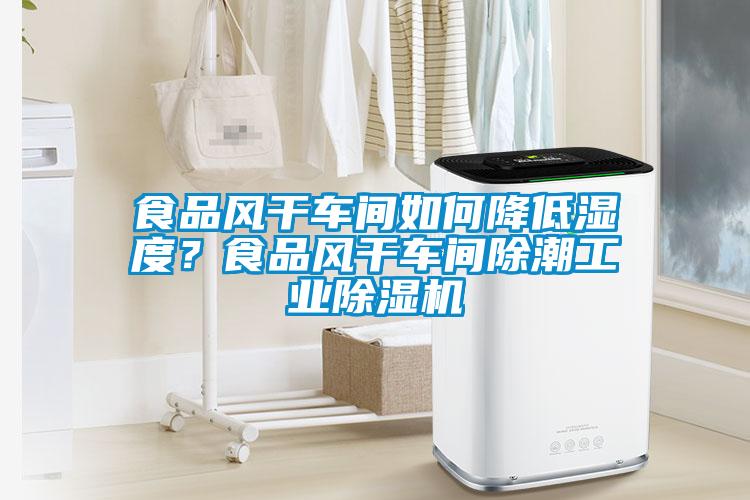 食品風(fēng)干車間如何降低濕度?食品風(fēng)干車間除潮工業(yè)除濕機(jī)