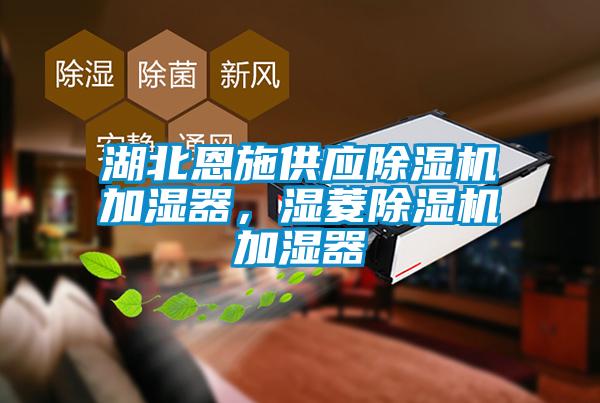 湖北恩施供應除濕機加濕器,濕菱除濕機加濕器