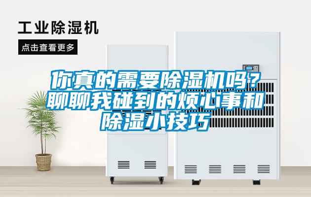 你真的需要除濕機嗎?聊聊我碰到的煩心事和除濕小技巧