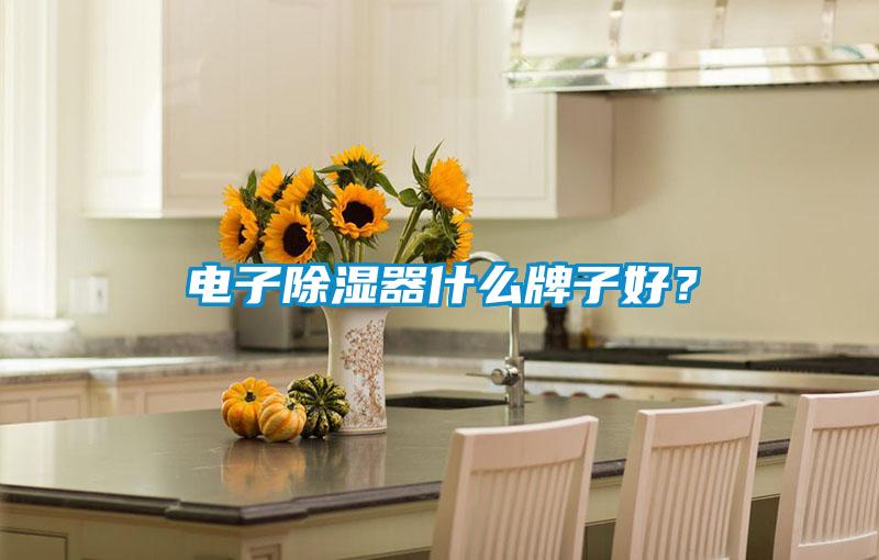 電子除濕器什么牌子好？