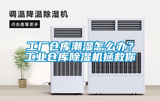 工廠倉庫潮濕怎么辦?工業(yè)倉庫除濕機(jī)拯救你