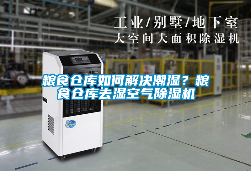 糧食倉庫如何解決潮濕?糧食倉庫去濕空氣除濕機(jī)