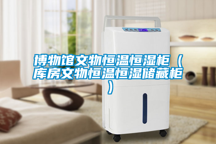 博物館文物恒溫恒濕柜(庫房文物恒溫恒濕儲藏柜)