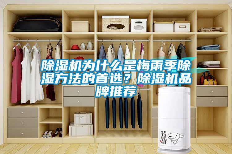 除濕機為什么是梅雨季除濕方法的首選?除濕機品牌推薦