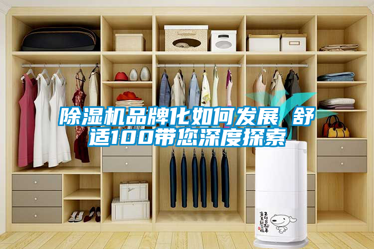 除濕機品牌化如何發展  舒適100帶您深度探索