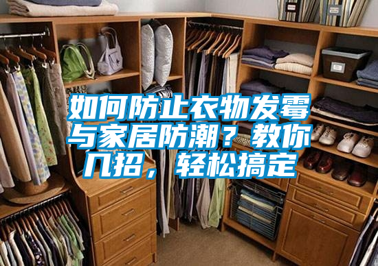 如何防止衣物發(fā)霉與家居防潮？教你幾招，輕松搞定