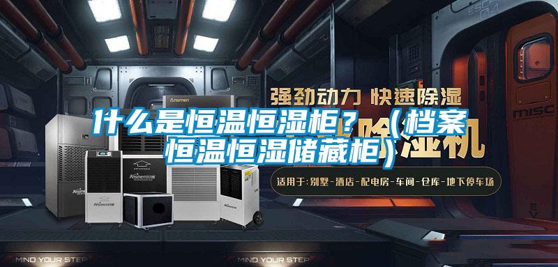 什么是恒溫恒濕柜?(檔案恒溫恒濕儲藏柜)