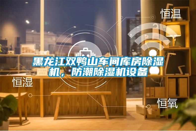 黑龍江雙鴨山車間庫房除濕機，防潮除濕機設備