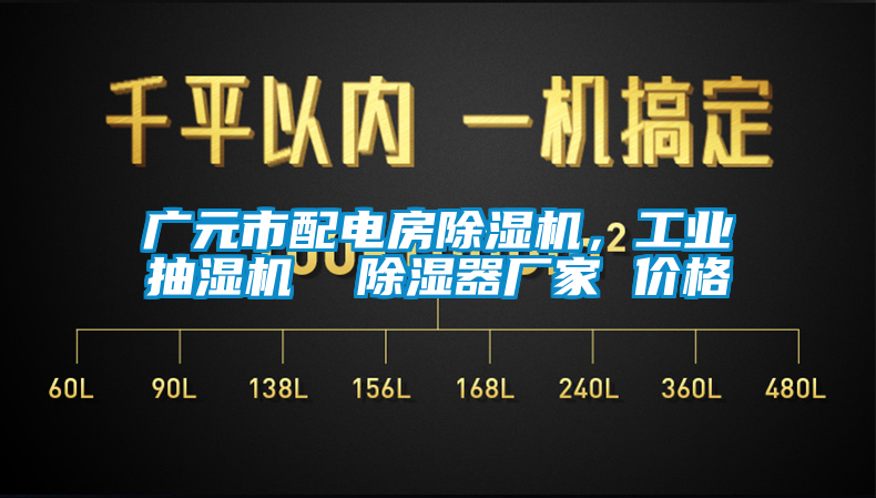 廣元市配電房除濕機,工業抽濕機  除濕器廠家 價格