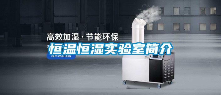 恒溫恒濕實(shí)驗(yàn)室簡介