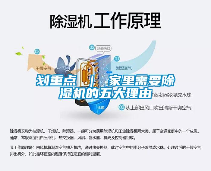 劃重點 | 家里需要除濕機的五大理由