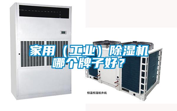 家用(工業)除濕機哪個牌子好?