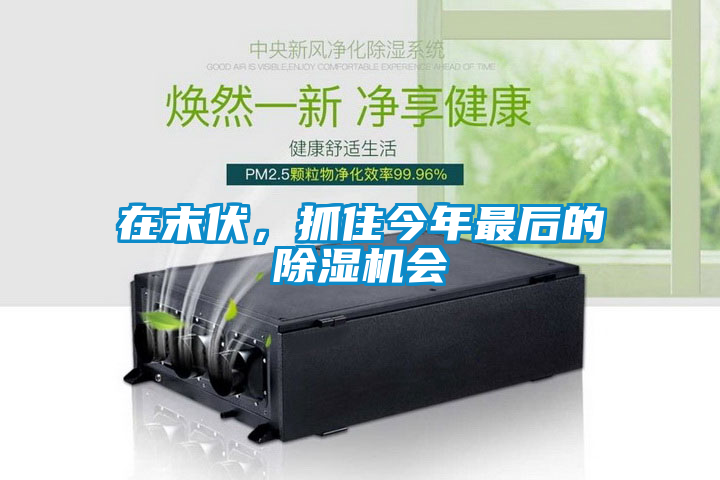 在末伏,抓住今年最后的除濕機會