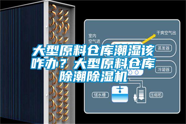 大型原料倉庫潮濕該咋辦?大型原料倉庫除潮除濕機(jī)