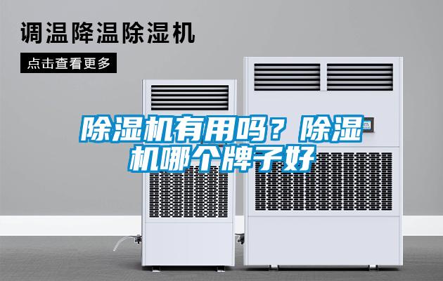 除濕機有用嗎?除濕機哪個牌子好