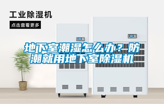 地下室潮濕怎么辦?防潮就用地下室除濕機
