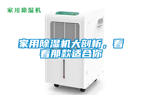 家用除濕機大剖析,看看那款適合你
