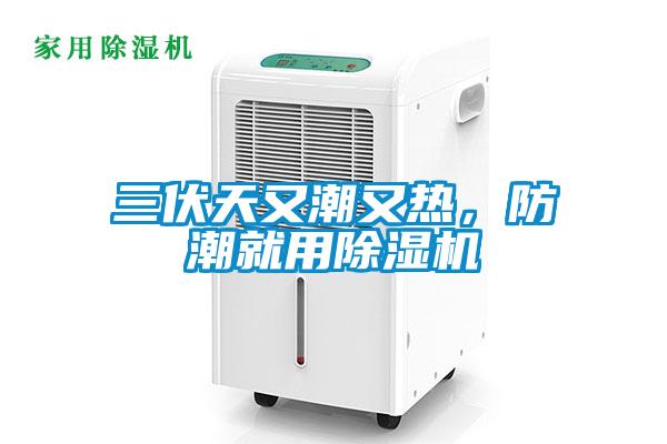 三伏天又潮又熱，防潮就用除濕機