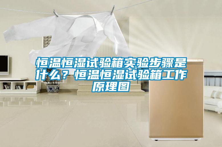 恒溫恒濕試驗箱實驗步驟是什么?恒溫恒濕試驗箱工作原理圖