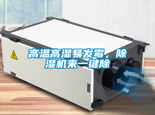 高溫高濕易發(fā)霉，除濕機(jī)來一鍵除