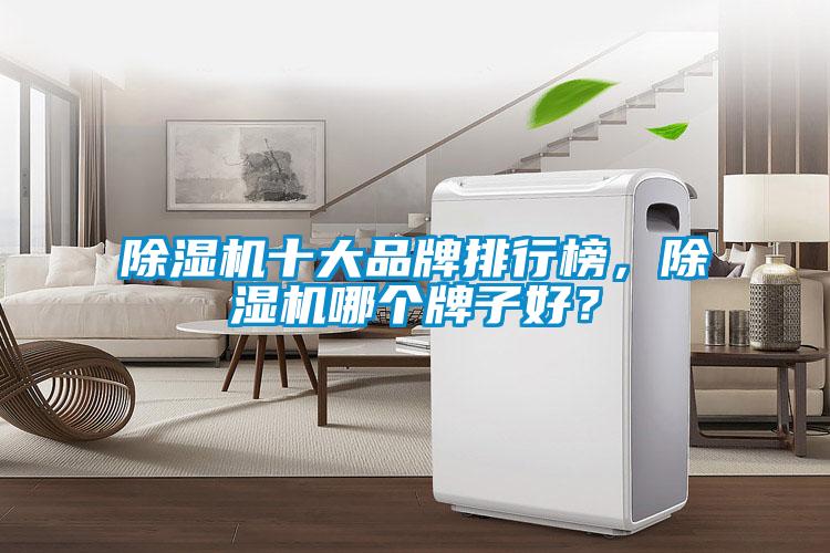 除濕機十大品牌排行榜,除濕機哪個牌子好?