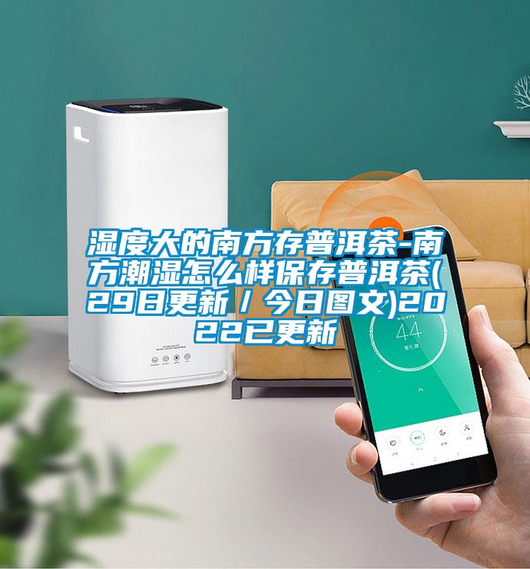 濕度大的南方存普洱茶-南方潮濕怎么樣保存普洱茶(29日更新/今日圖文)2022已更新