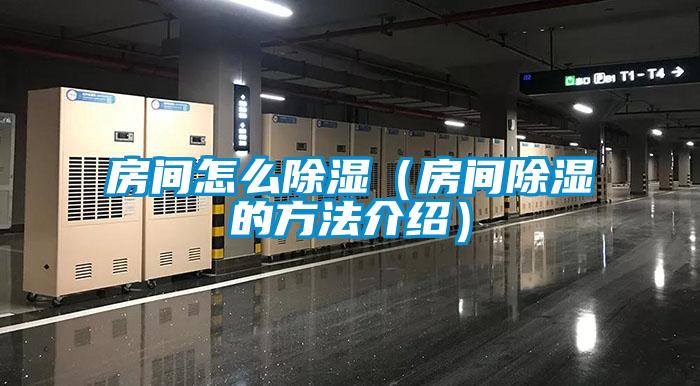 房間怎么除濕(房間除濕的方法介紹)