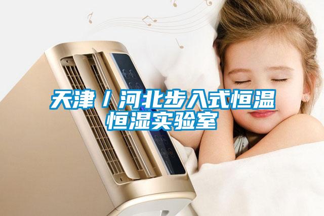 天津/河北步入式恒溫恒濕實驗室