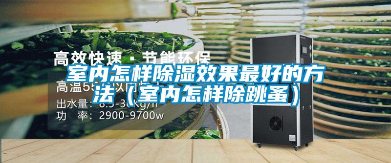 室內(nèi)怎樣除濕效果最好的方法(室內(nèi)怎樣除跳蚤)