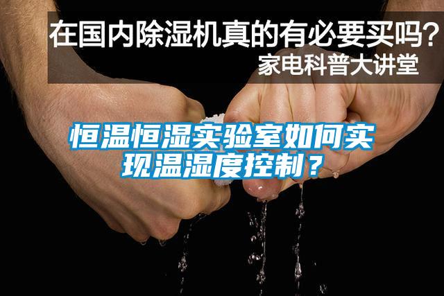恒溫恒濕實驗室如何實現溫濕度控制?