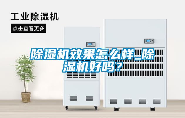 除濕機效果怎么樣_除濕機好嗎?