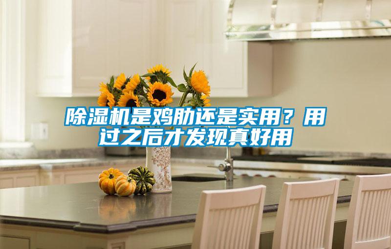 除濕機(jī)是雞肋還是實用?用過之后才發(fā)現(xiàn)真好用