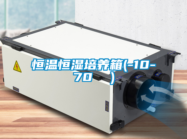 恒溫恒濕培養箱(-10-70 ℃)
