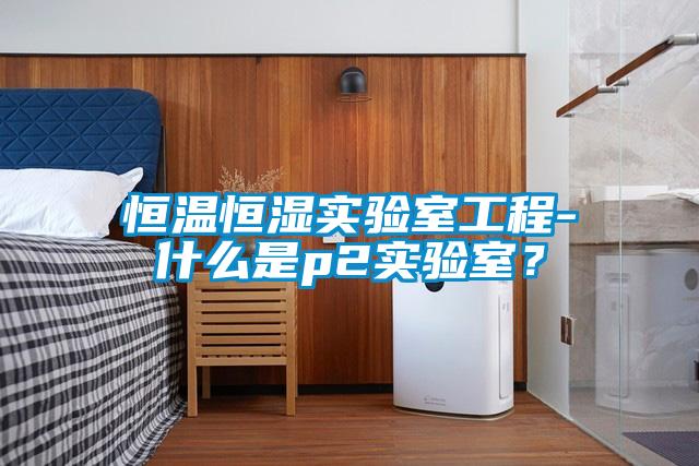 恒溫恒濕實驗室工程-什么是p2實驗室?