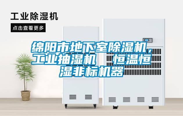 綿陽市地下室除濕機,工業抽濕機  恒溫恒濕非標機器