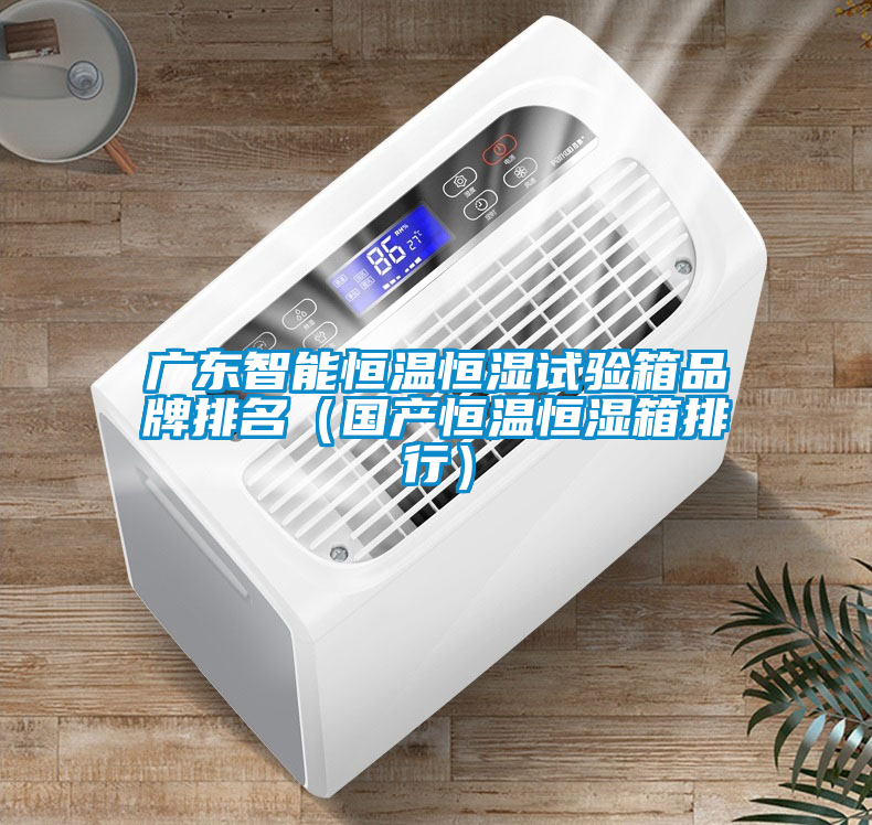 廣東智能恒溫恒濕試驗箱品牌排名(國產恒溫恒濕箱排行)