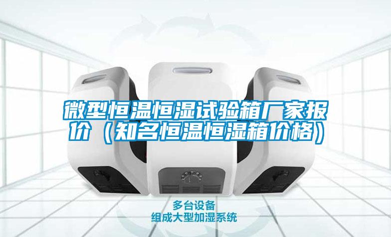 微型恒溫恒濕試驗箱廠家報價(知名恒溫恒濕箱價格)