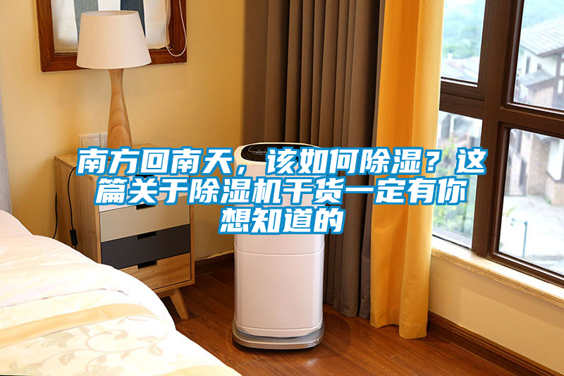 南方回南天,該如何除濕?這篇關(guān)于除濕機(jī)干貨一定有你想知道的