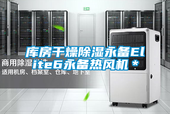 庫(kù)房干燥除濕永備Elite6永備熱風(fēng)機(jī)*