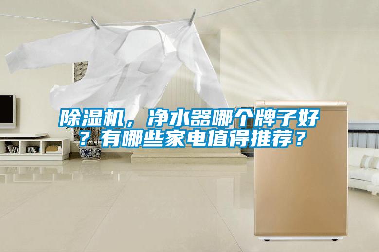 除濕機(jī)，凈水器哪個牌子好？有哪些家電值得推薦？