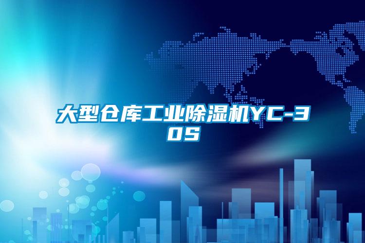 大型倉(cāng)庫工業(yè)除濕機(jī)YC-30S