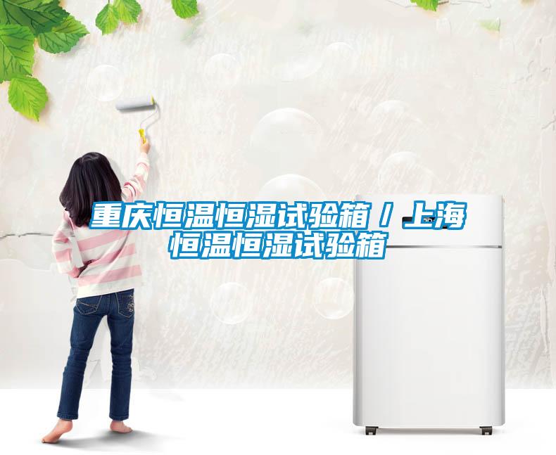 重慶恒溫恒濕試驗箱/上海恒溫恒濕試驗箱