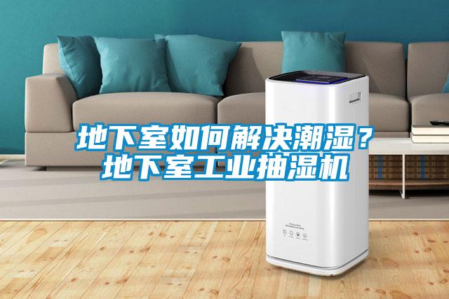 地下室如何解決潮濕?地下室工業(yè)抽濕機(jī)