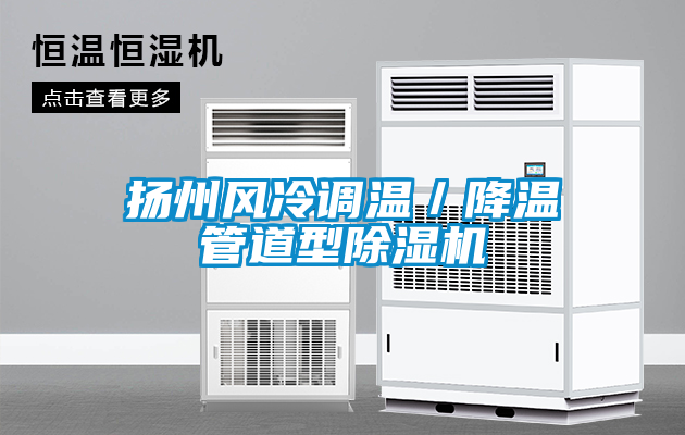 揚州風(fēng)冷調(diào)溫/降溫管道型除濕機