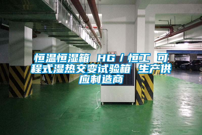恒溫恒濕箱 HG/恒工 可程式濕熱交變試驗箱 生產(chǎn)供應(yīng)制造商