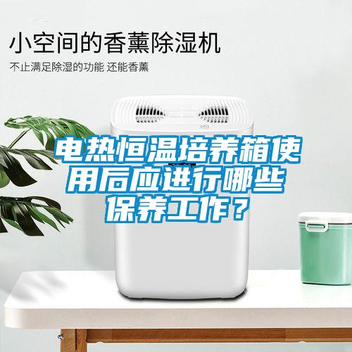 電熱恒溫培養箱使用后應進行哪些保養工作?