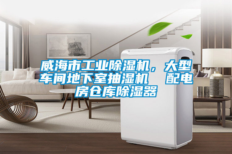 威海市工業除濕機，大型車間地下室抽濕機  配電房倉庫除濕器