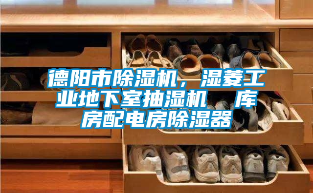 德陽市除濕機,濕菱工業地下室抽濕機  庫房配電房除濕器